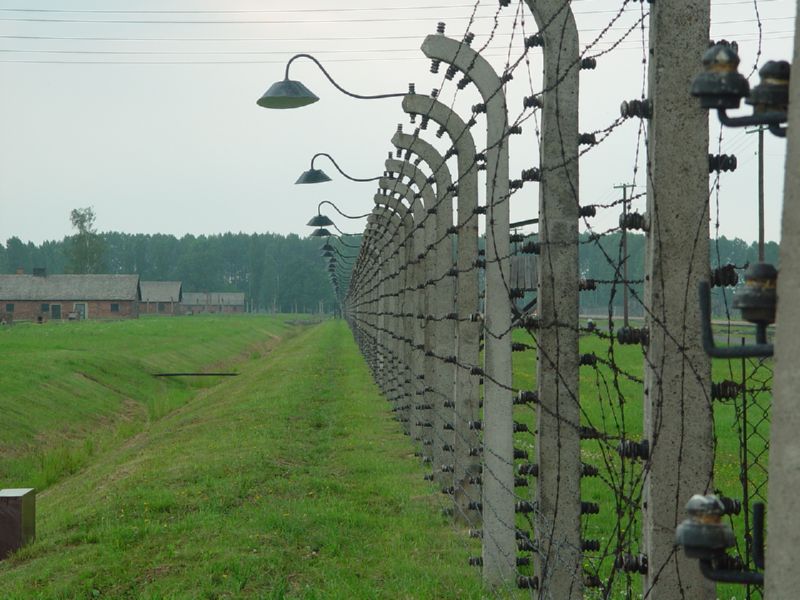 Birkenau fenceline